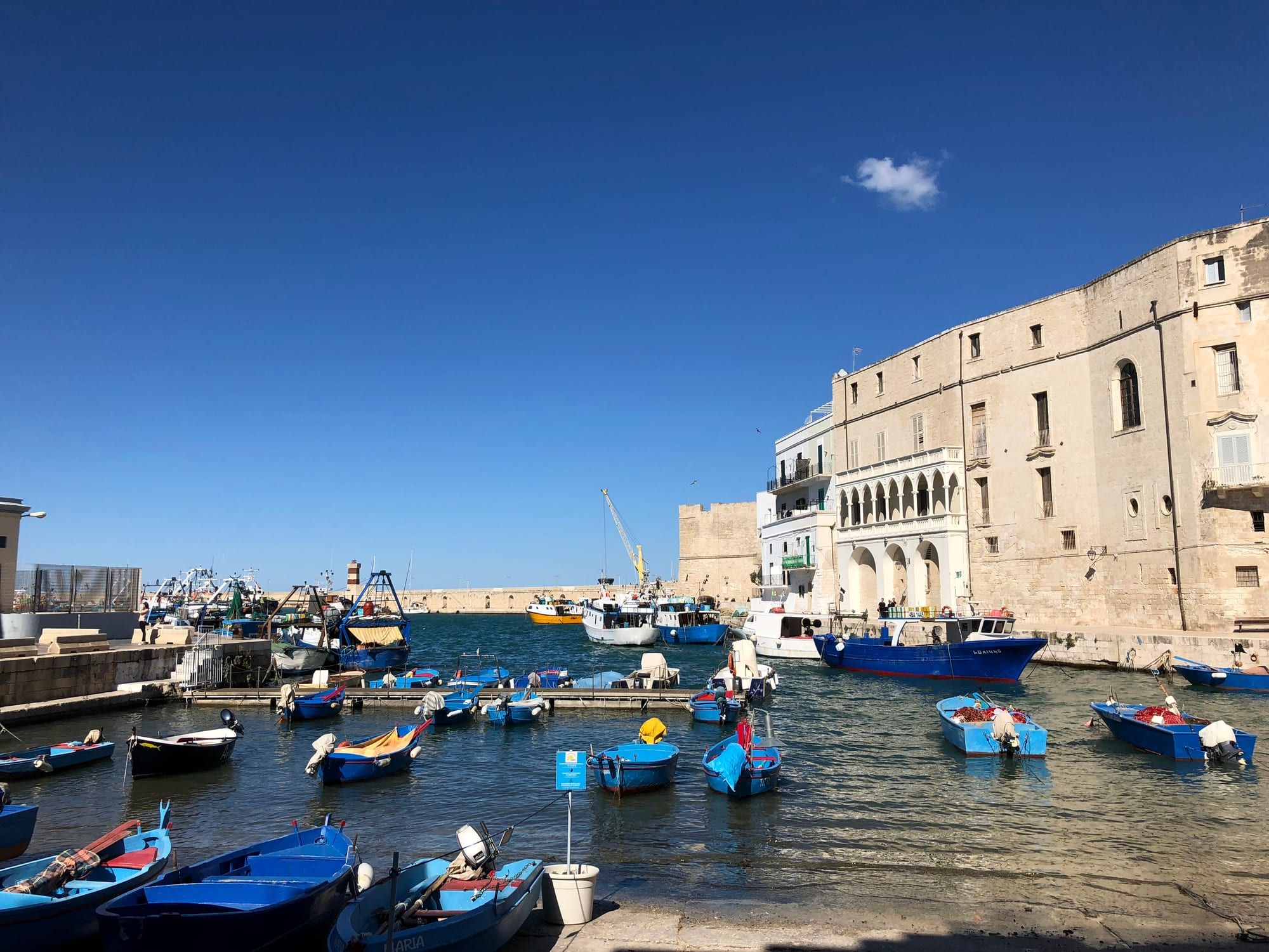 Monopoli